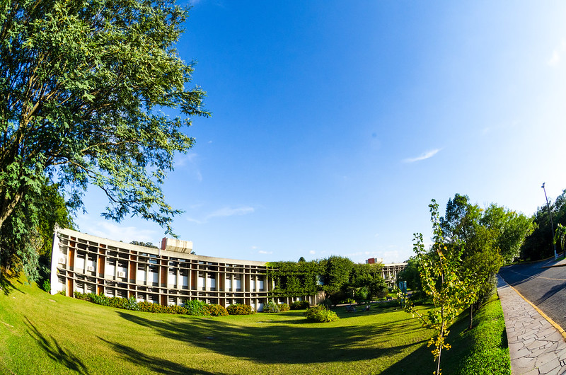 Muito além dos números: depoimentos que marcaram o primeiro ano do Educar Crescer