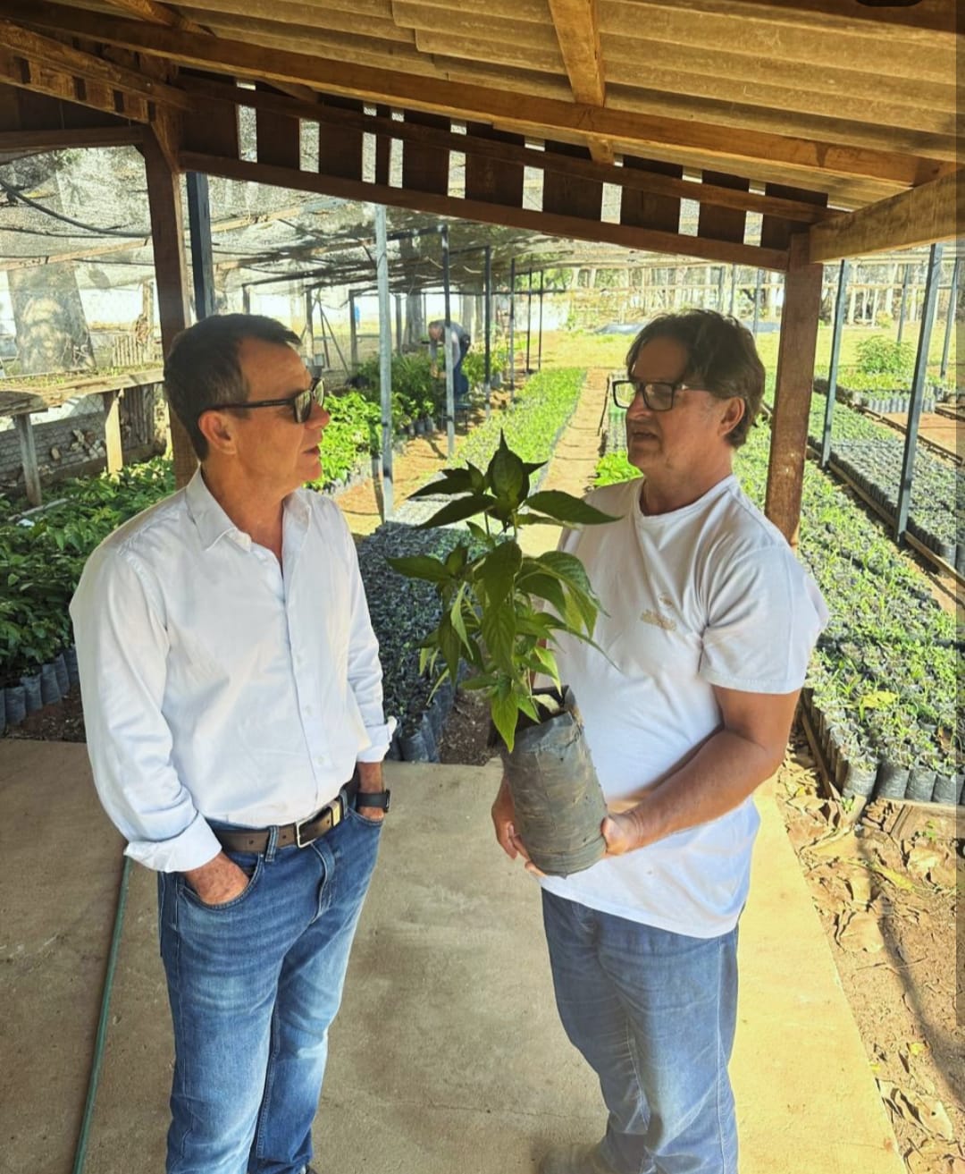 Coordenador do Projeto Educar Crescer visita viveiro de mudas e fala sobre preservação ambiental