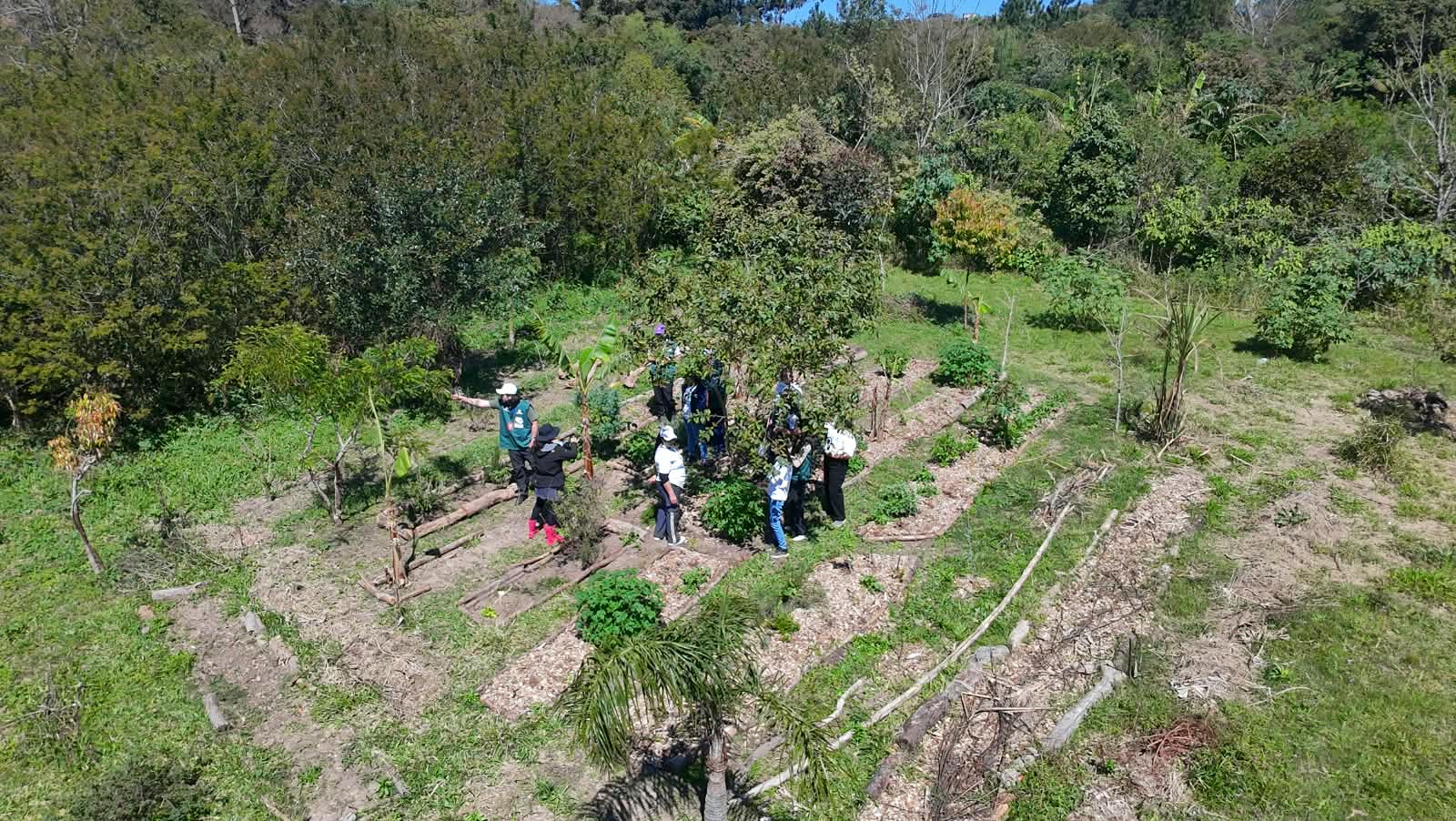 Frente Plantar realiza nova visita técnica, desta vez, com estudantes de Esteio